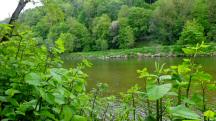  Blick zur Ybbs 