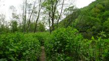  Wanderroute entlang der Ybbs 