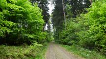  Blick auf die Wanderstrecke 