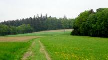  Blick auf die Wanderstrecke 