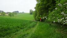 Blick auf die Wanderstrecke 