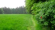  Blick auf die Wanderstrecke 