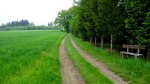  Blick auf die Wanderstrecke 