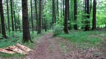  Blick auf die Wanderstrecke 