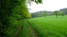  Blick auf die Wanderstrecke 