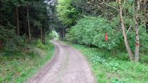  Blick auf die Wanderstrecke 