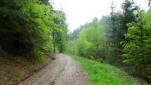 Blick auf die Wanderstrecke im Grblergraben 