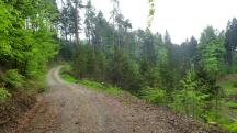 Blick auf die Wanderstrecke im Grblergraben 