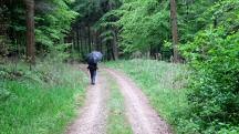 Blick auf die Wanderstrecke im Grblergraben 