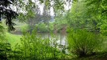 Blick zum Grblerteich 