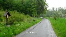 Blick auf die Wanderstrecke beim Gedenkkreuz im Weitgraben 