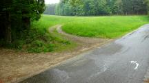  Blick auf die Wanderstrecke 