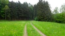  Blick auf die Wanderstrecke 