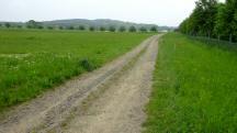  Blick auf die nun gemeinsame Wanderstrecke 