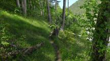  Blick auf die Wanderstrecke entlang des Steinbruchs 