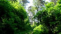  Blick auf die Wanderstrecke 