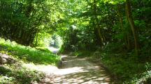 Wanderroute über den Gumpoldskirchner Steig 