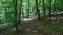  Wanderroute zur Wilhelmswarte 