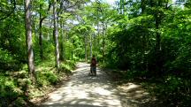  Wanderroute auf der Anningerstraße 