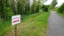  Wanderroute entlang des Michelbachs