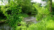  Blick zum Michelbach 