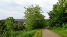  Wanderroute entlang des Michelbachs 