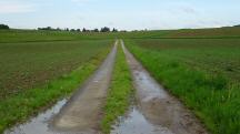  Blick auf die Wanderstrecke 