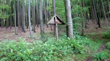  Blick zu einen Holzkreuz am Wegesrand 
