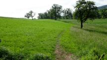  Blick auf die Wanderstrecke 