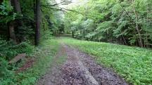  Wanderroute bergab nach Farafeld 