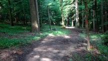  Wanderroute bergab nach Farafeld 