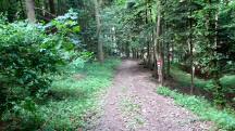  Wanderroute bergab nach Farafeld 