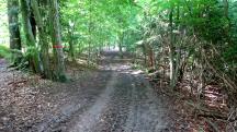  Wanderroute auf den Kronberg 