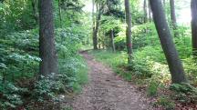  Wanderroute auf den Kronberg 