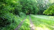  Wanderroute auf den Kronberg 