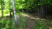  Wanderroute auf den Hegerberg 