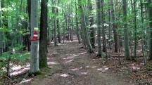  Wanderroute auf den Hegerberg 
