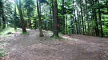 Blick zur Weggabelung - zum Gipfelkreuz + Hegerberg Schutzhaus  oder markierte Wanderroute