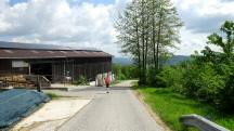 Blick auf die Wanderstrecke beim Gehft Oberhegerberger 