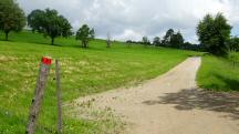 Blick auf die Wanderstrecke beim Oberhegerberger
