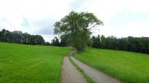  Blick auf die Wanderstrecke 