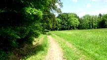  Blick auf die Wanderstrecke 