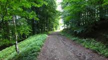  Blick auf die Wanderstrecke 