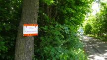 Blick zur Ankndigung der 1. SK 