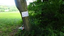  Blick zur 1. SK - Gwrth 