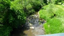  Blick auf den Stssingbach (Dambachl) flussabwrts 