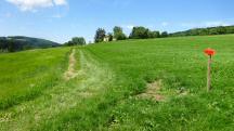 Wanderroute nach St. Peter am Anger 