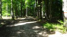 Wanderroute durch das groe Waldgebiet des Eichbergs