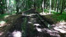  Blick auf die Wanderstrecke  - tiefer Boden 
