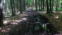  Blick auf die Wanderstrecke  - tiefer Boden 
